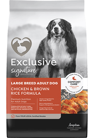 Exclusive Signature Large Breed Adult Chicken Brown Rice Formula