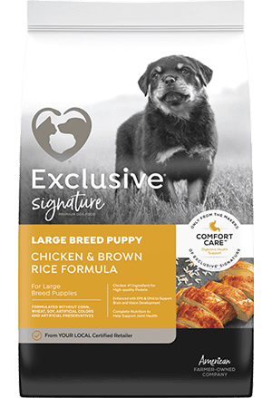 Exclusive Signature Large Breed Puppy Chicken Brown Rice Formula