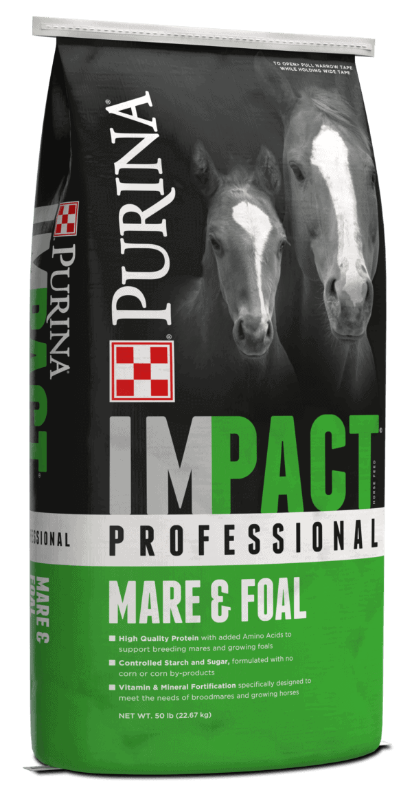 Purina Impact Professional Mare Foal Horse Feed
