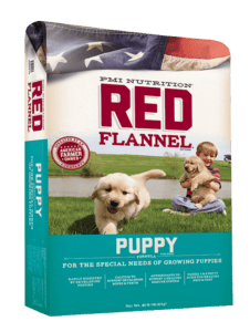 Red Flannel Puppy 40