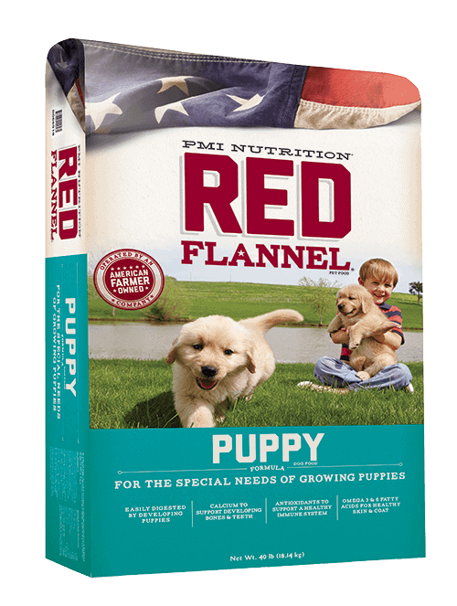Red Flannel Puppy 40