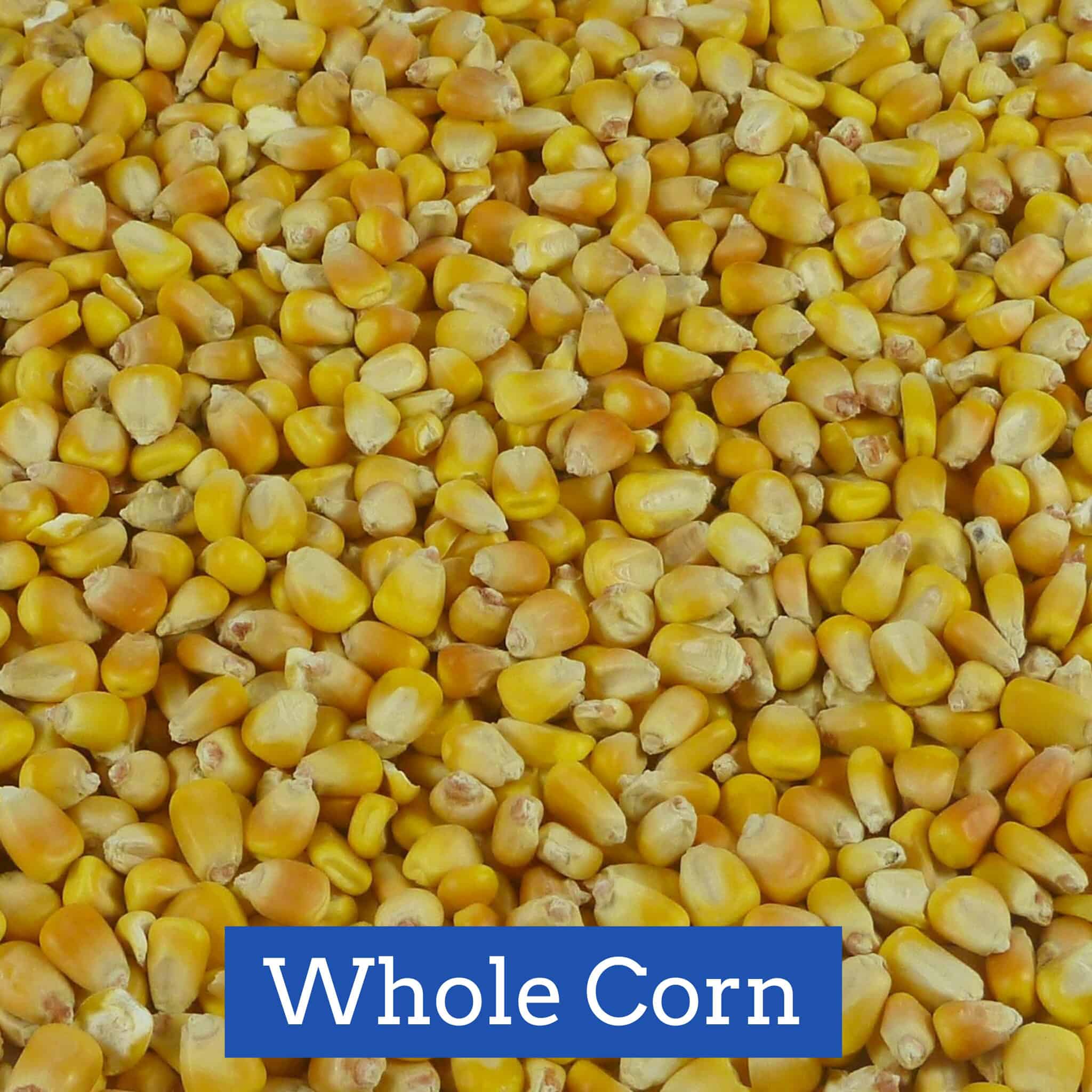 Woody Whole Corn 50lb