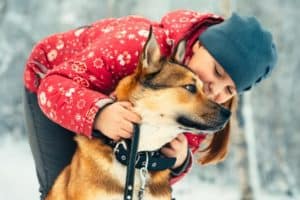 6 Ways To Keep Your Dog Happy This Winter Presented By Canidae