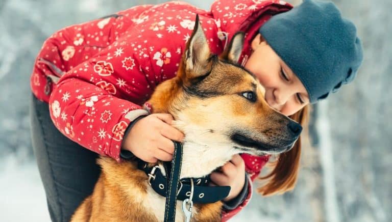 6 Ways To Keep Your Dog Happy This Winter Presented By Canidae