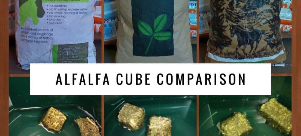 Alfalfa Cubes A Little Experiment