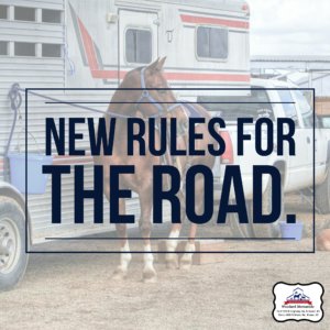 New Rules For The Road 2