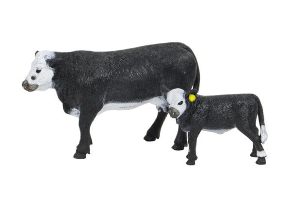 Big Country Black Baldy Cow Calf 429