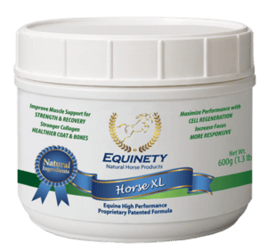 Equinety Horse XL