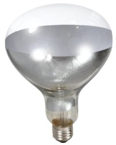 Little Giant Heat Lamp Bulb Red Clear 2