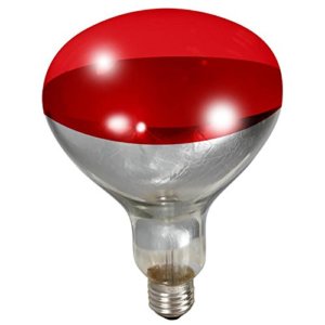 Little Giant Heat Lamp Bulb Red Clear