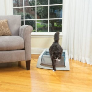 Scoop Free Self Cleaning Litter Box 4