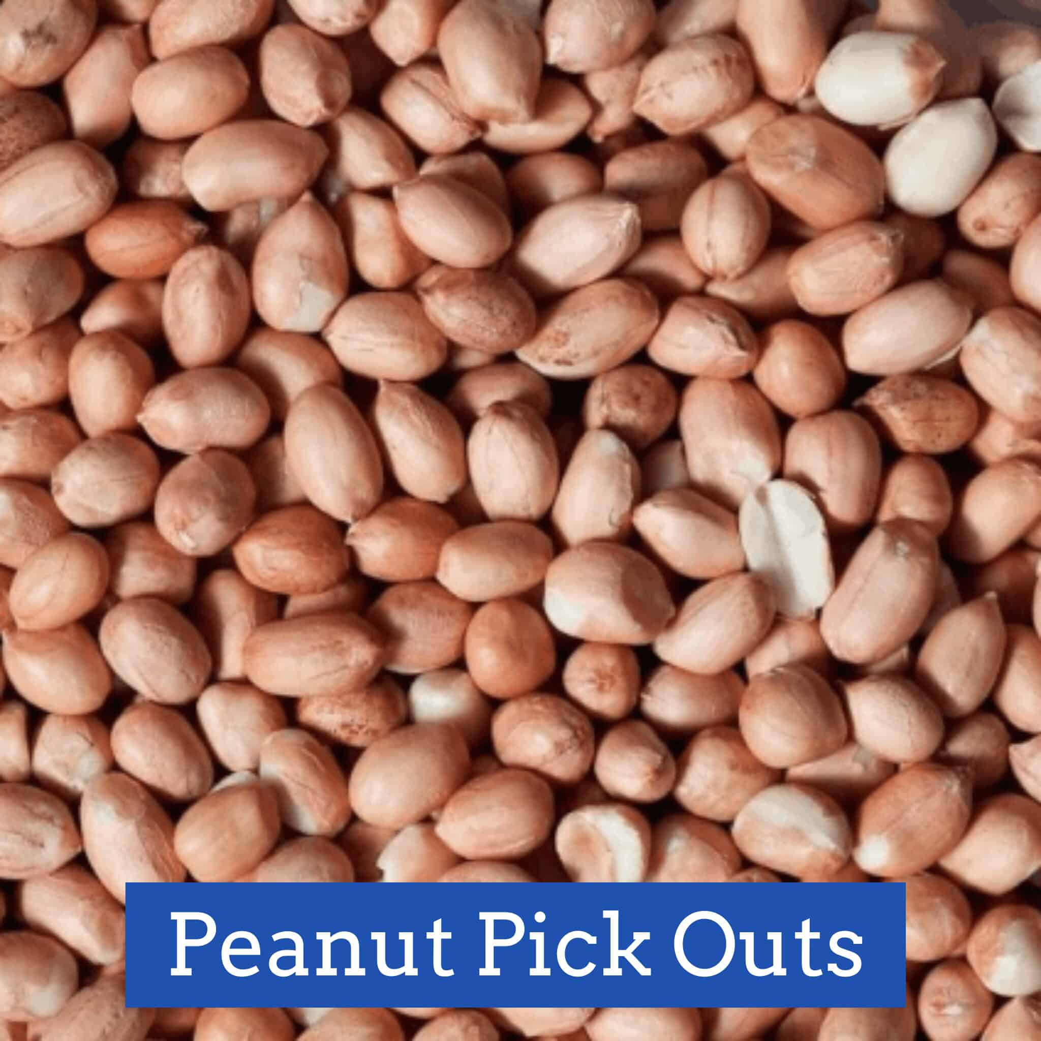 Peanut Pick Outs Shelled 10lb