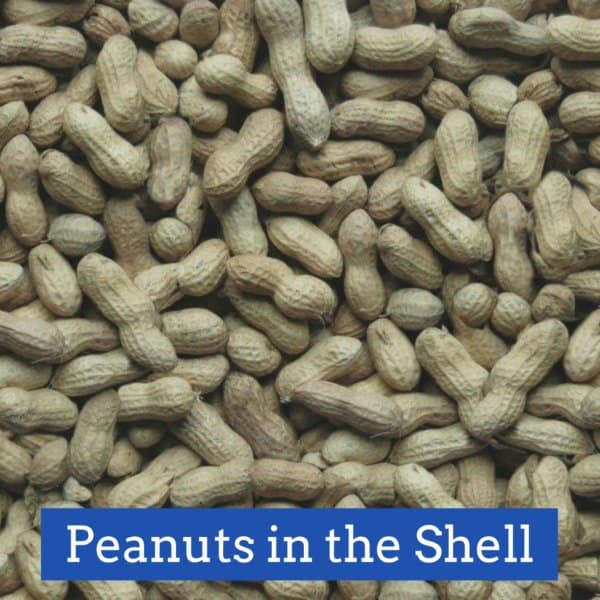 Peanuts In The Shell