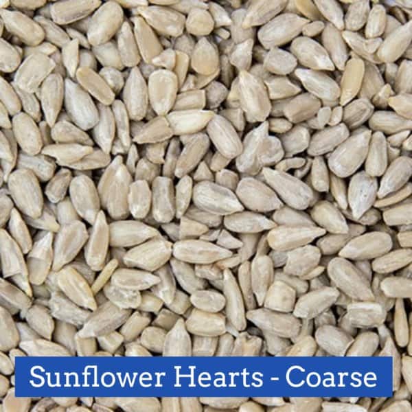 Sunflower Hearts Coarse 10lb