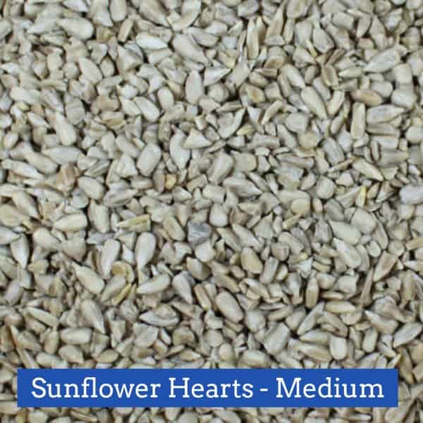 Sunflower Hearts Medium 10lb