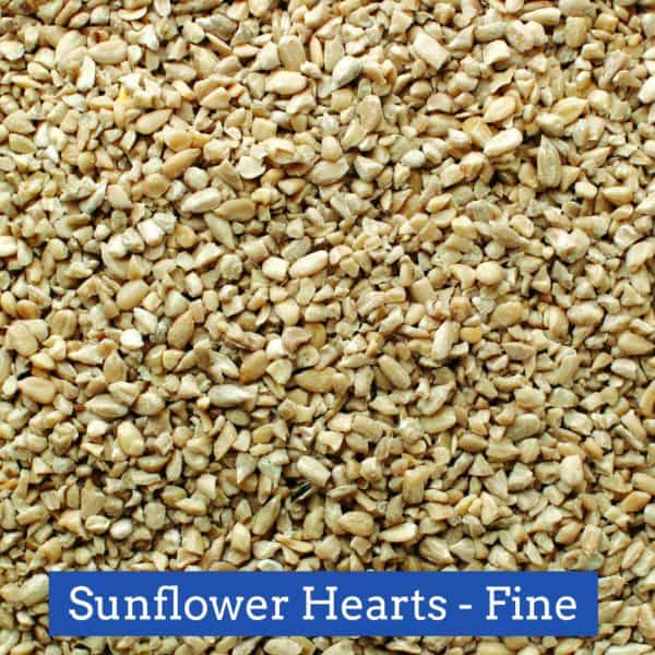 Sunflower Heartsfine 10lb