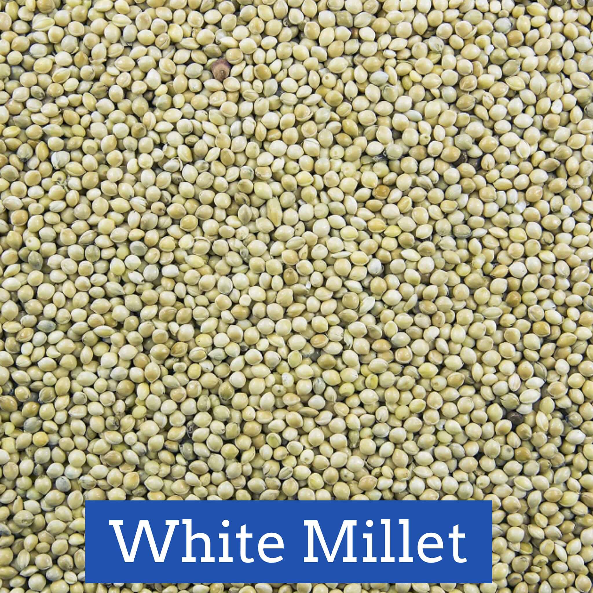 White Millet 10lb