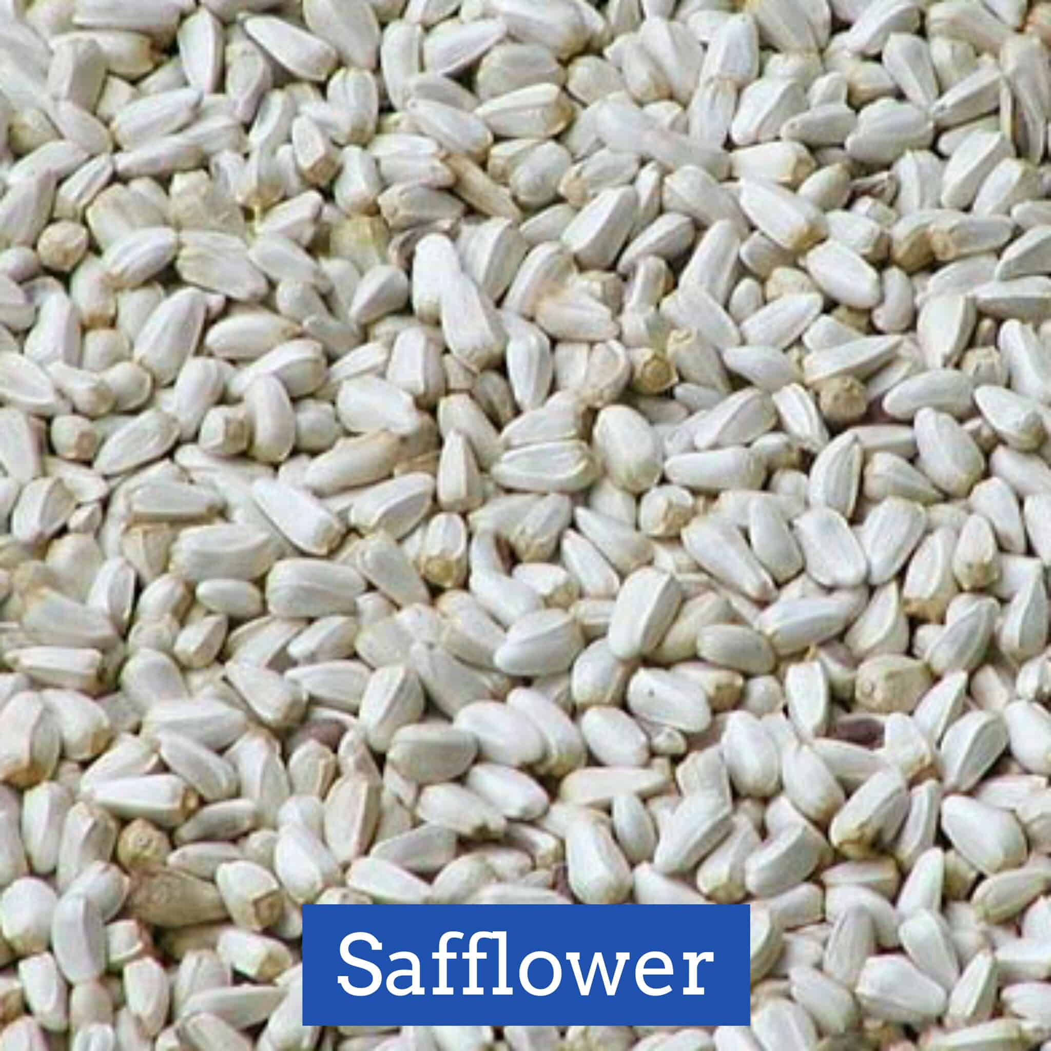 Woody Safflower Seed 50lb
