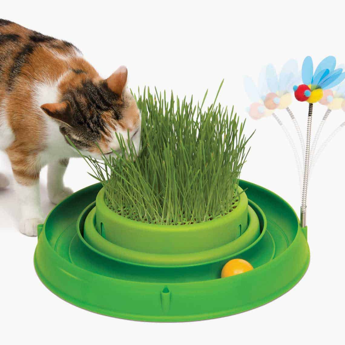 Circuit Ball Toy With Grass Planter 2