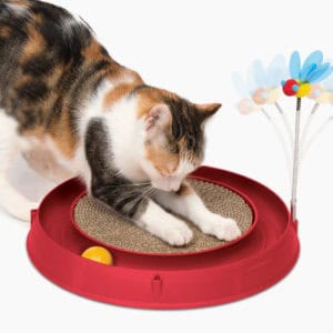 Circuit Ball Toy With Scratch Pad 2