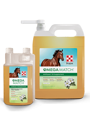 Omega Match Ahiflower Oil Supplement