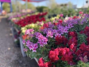 Best Wichita Gardening Store Supplies 12