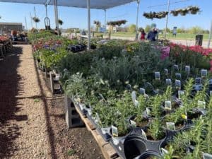 Best Wichita Gardening Store Supplies 19