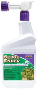 Sedge Ender 2