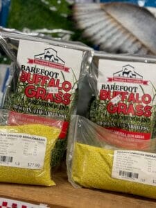 Barefoot Buffalo Grass Seed 1 Lb