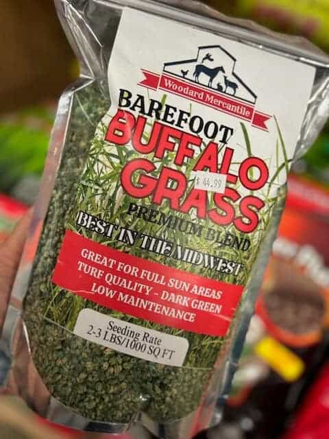 Buffalo Grass Seed-1LB