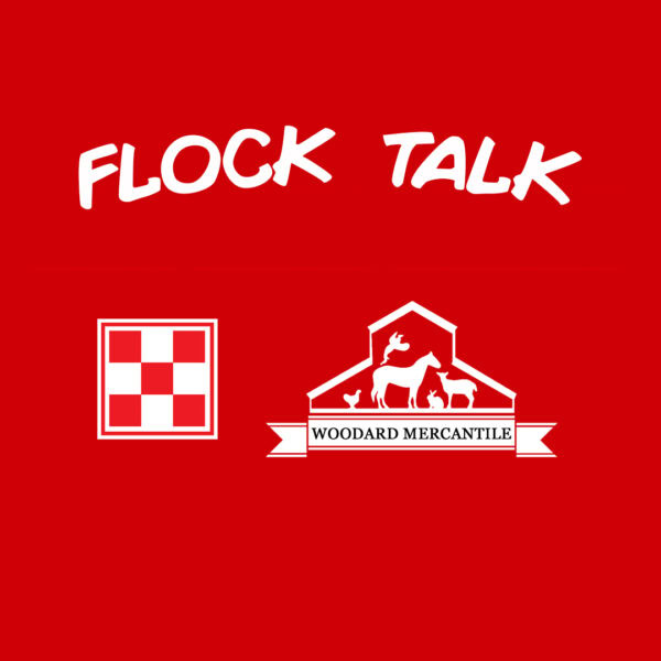 FLock Talk Event